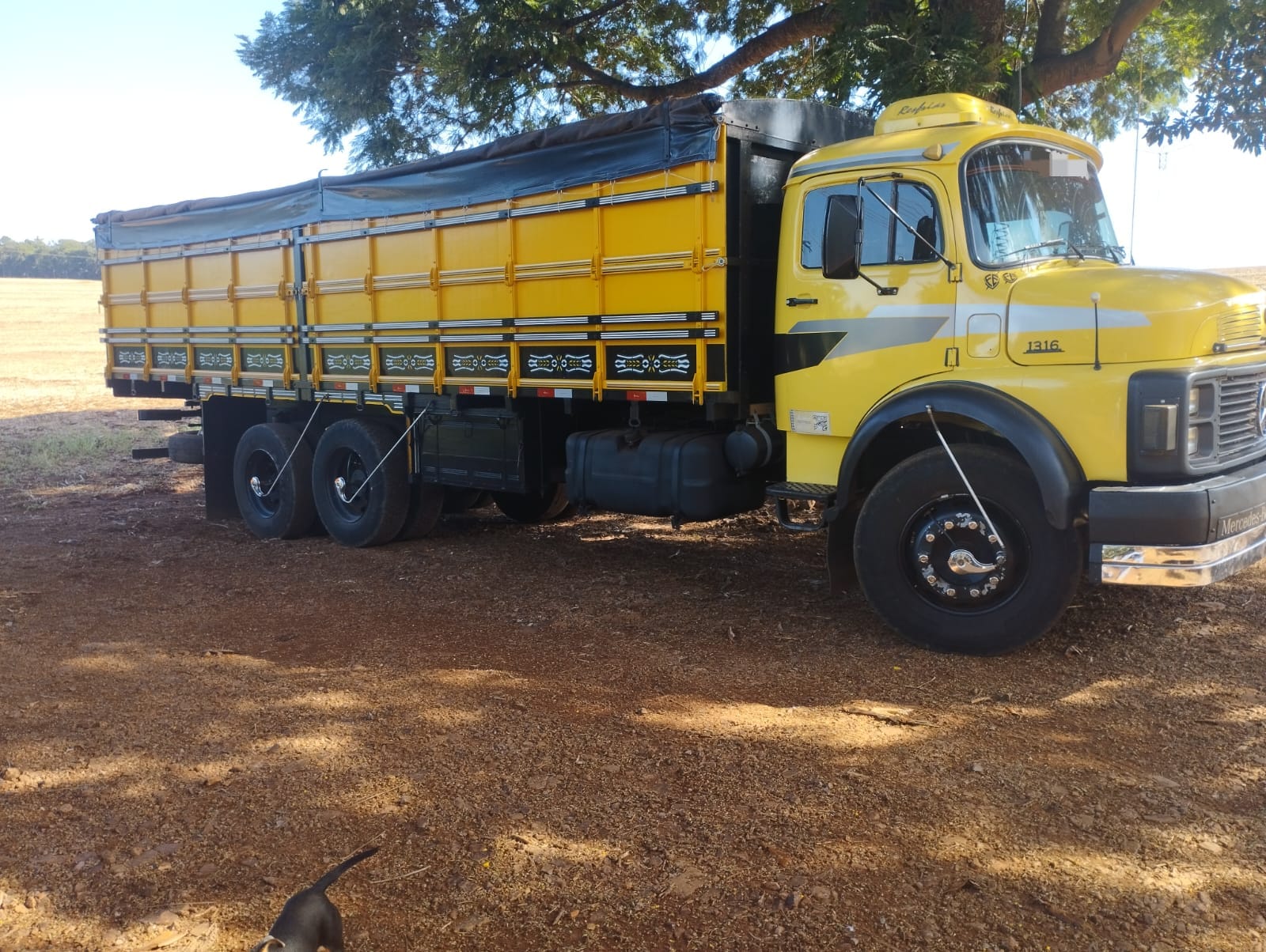 MERCEDES BENZ 1316