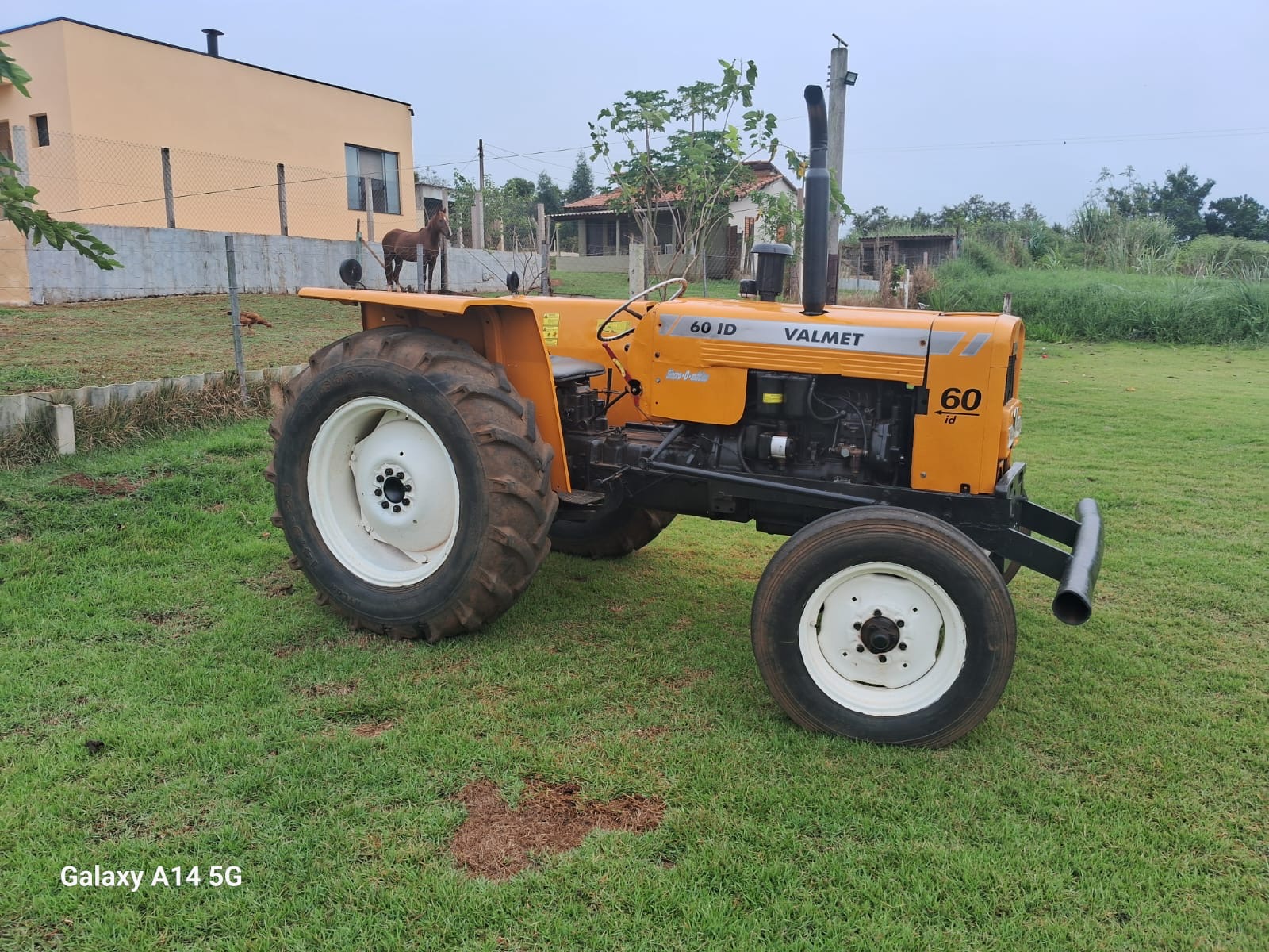 Valmet 60 id ano 1976, reformado!